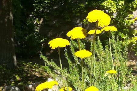 B&B Villaggio Sole Σουλμόνα Εξωτερικό φωτογραφία